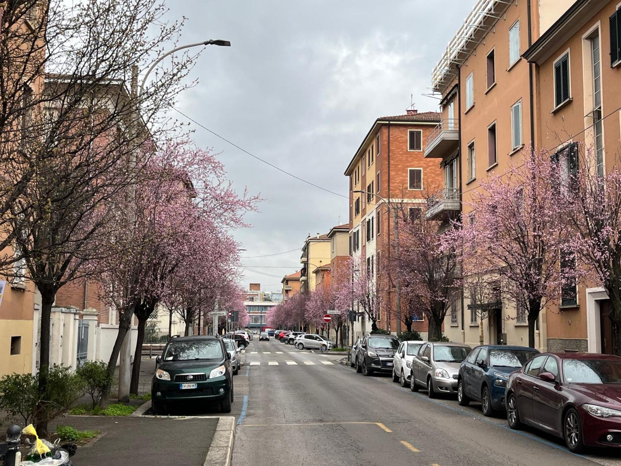 Casa Meli, Ampio Bilocale Nuovo Bolonha Exterior foto